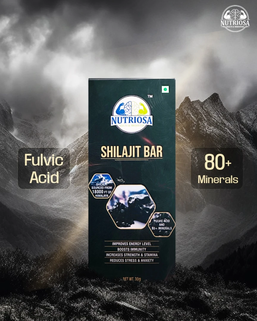 Shilajit Bar (Pack of 6)